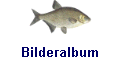 Bilderalbum