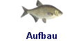 Aufbau