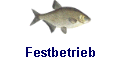 Festbetrieb