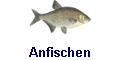 Anfischen