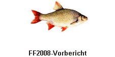 FF2008-Vorbericht