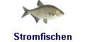 Stromfischen