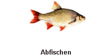 Abfischen