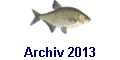 Archiv 2013