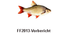 FF2013-Vorbericht