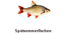 Sptsommerfischen