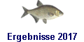 Ergebnisse 2017