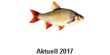 Aktuell 2017