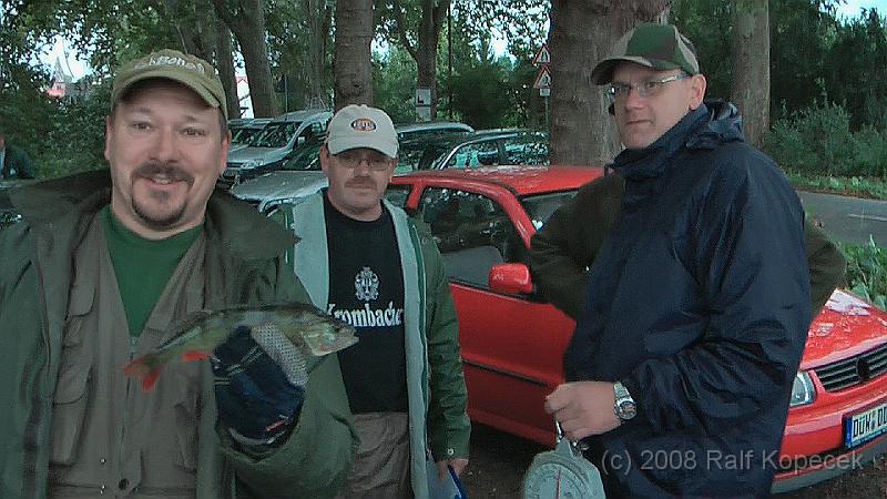 2008-09-13_stromfischen02.jpg - Ein typischer Flußbarsch, schön gefärbt und gut im Fleisch