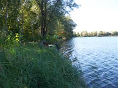 Idyllischer Blick auf die Angelpltze am Sdufer