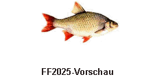 FF2025-Vorschau