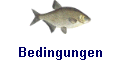 Bedingungen