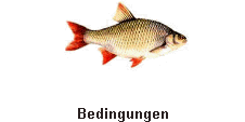 Bedingungen